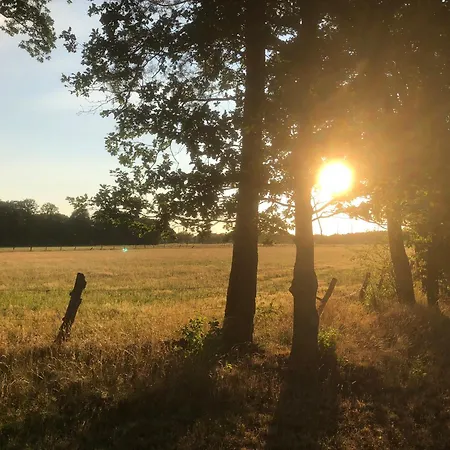 Appartement Zum Aatal Hopsten