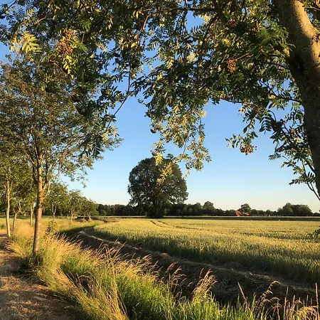 아파트 Zum Aatal 홉슈텐