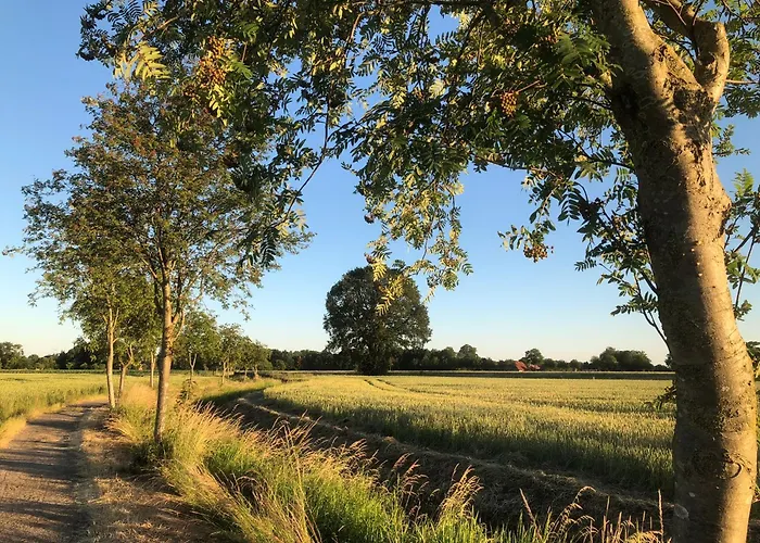 Διαμέρισμα Zum Aatal Hopsten